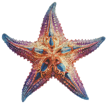 Carregar imagem no visualizador da galeria, Quebra-Cabeça de Madeira 3D - Estrela do Mar
