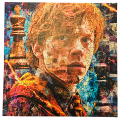 Quebra-Cabeça de Madeira 3D -  Weasley