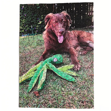 Carregar imagem no visualizador da galeria, Sua Foto com Molde Retangular de Cachorro - Quebra-Cabeça Personalizável
